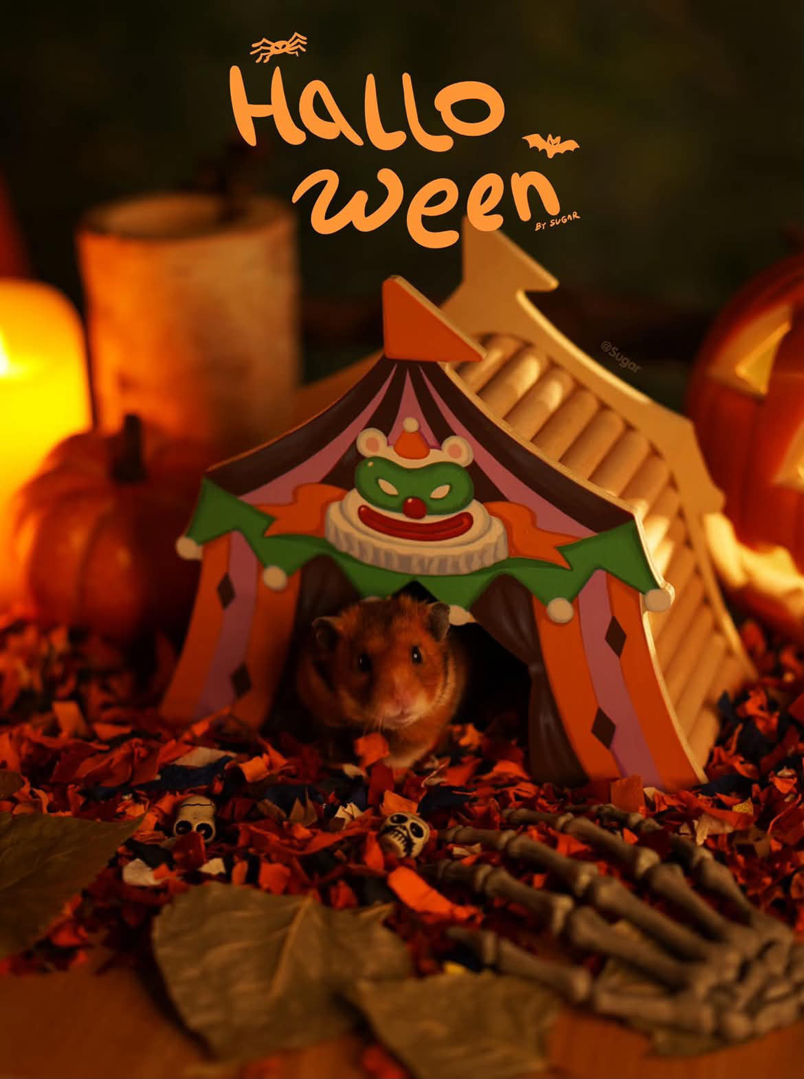 Halloween Circus