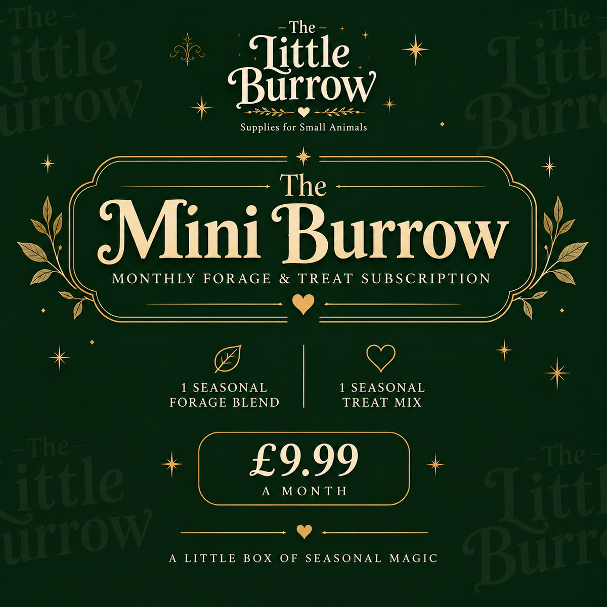 The Mini Burrow Monthly Forage & Treat Subscription