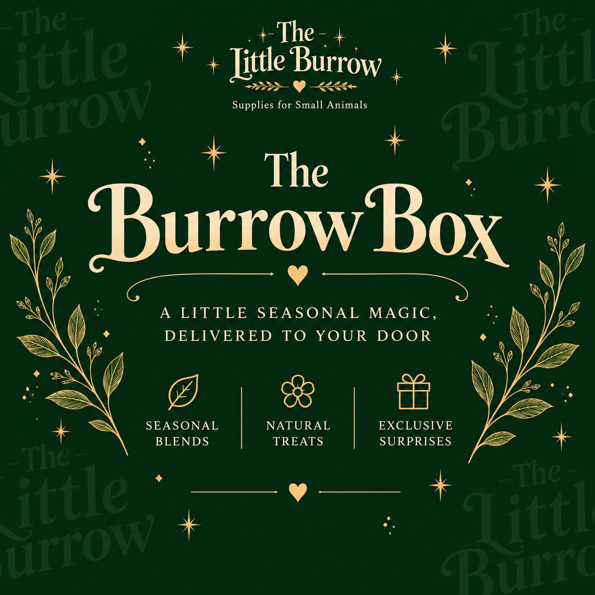 The Burrow Box