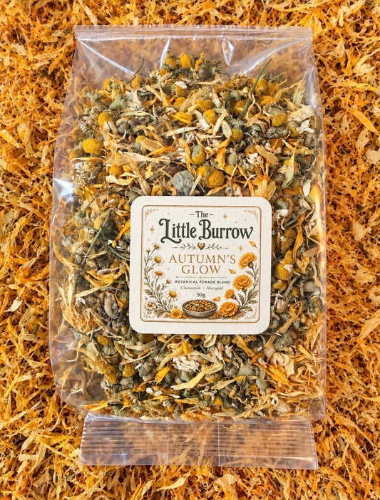 Autumns Glow Organic Botanical Forage Blend 50g