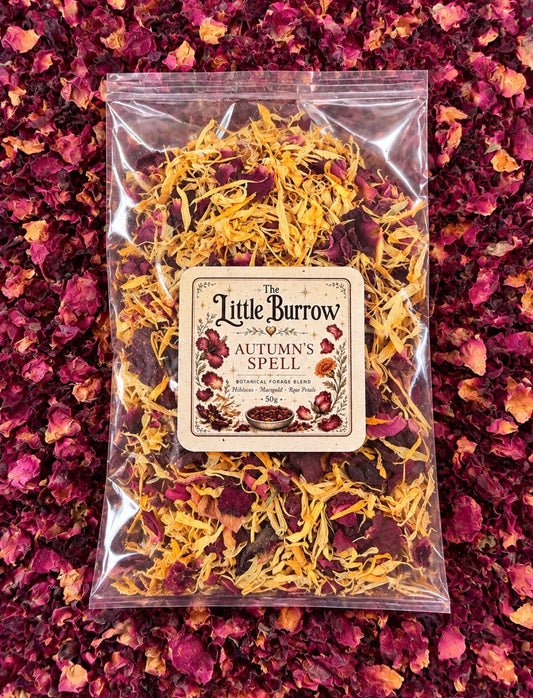 Autumns Spell Organic Botanical Forage Blend 50g