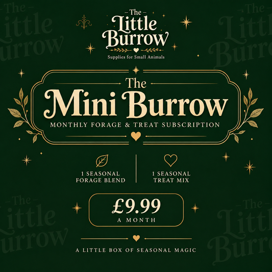 The Mini Burrow Monthly Forage & Treat Subscription