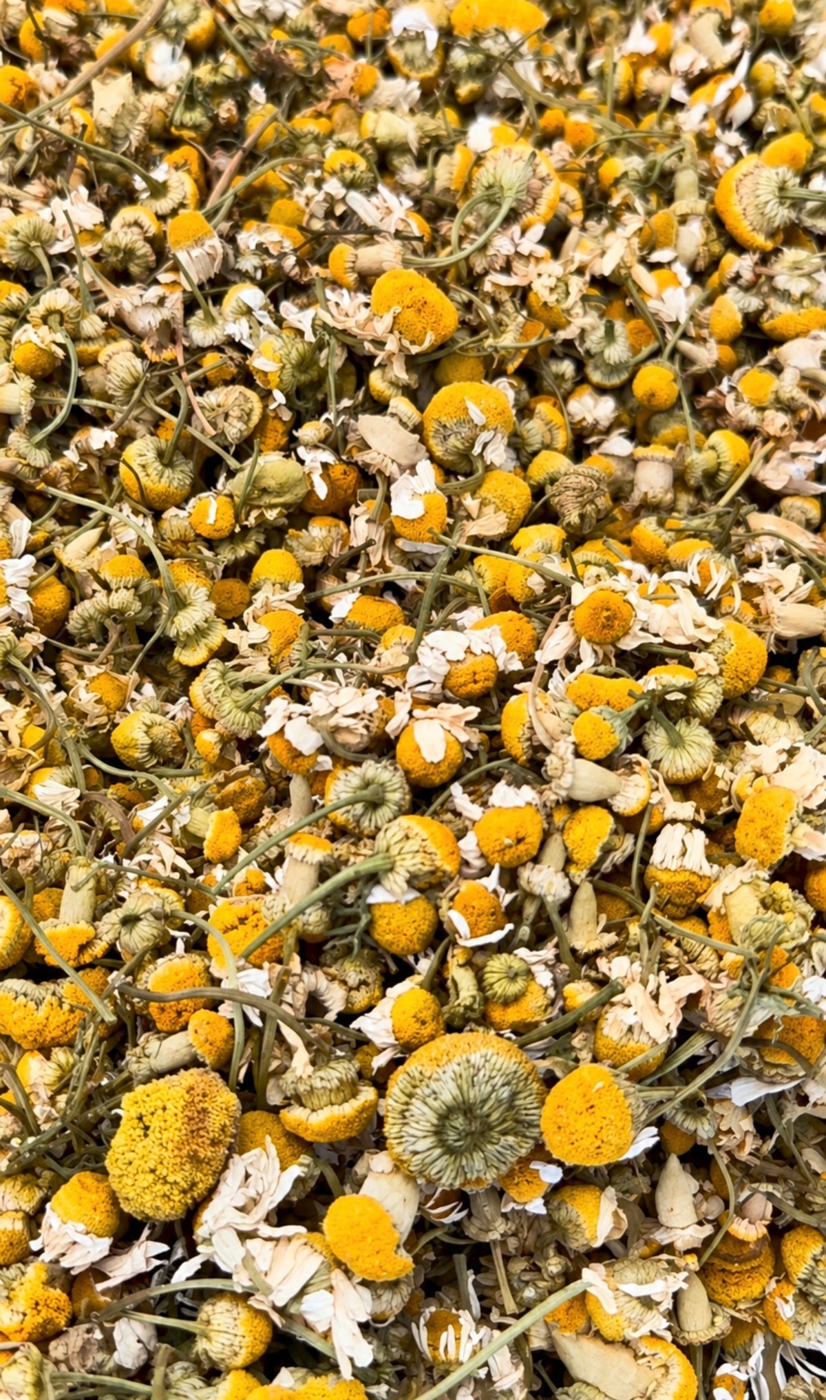 Organic Whole Chamomile Flowers Botanical Forage 50g