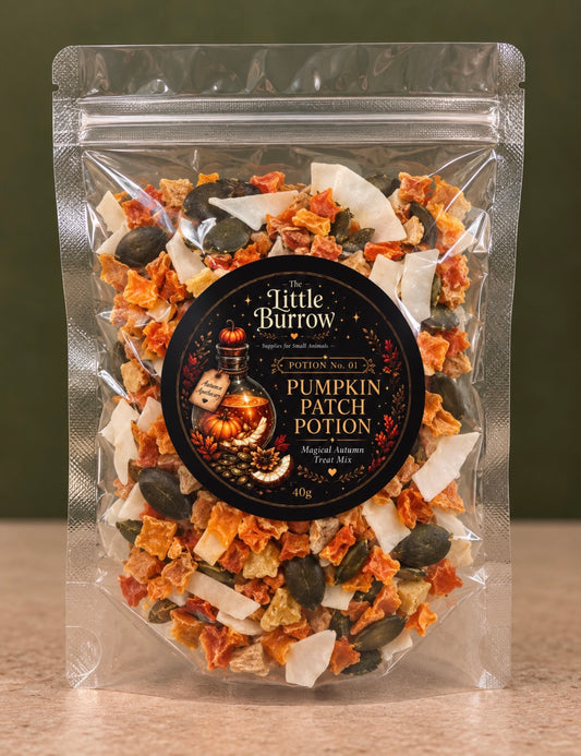 Pumpkin Patch Potion