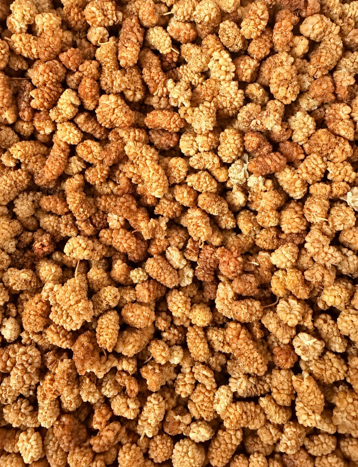 Organic Dried Mulberries 60g