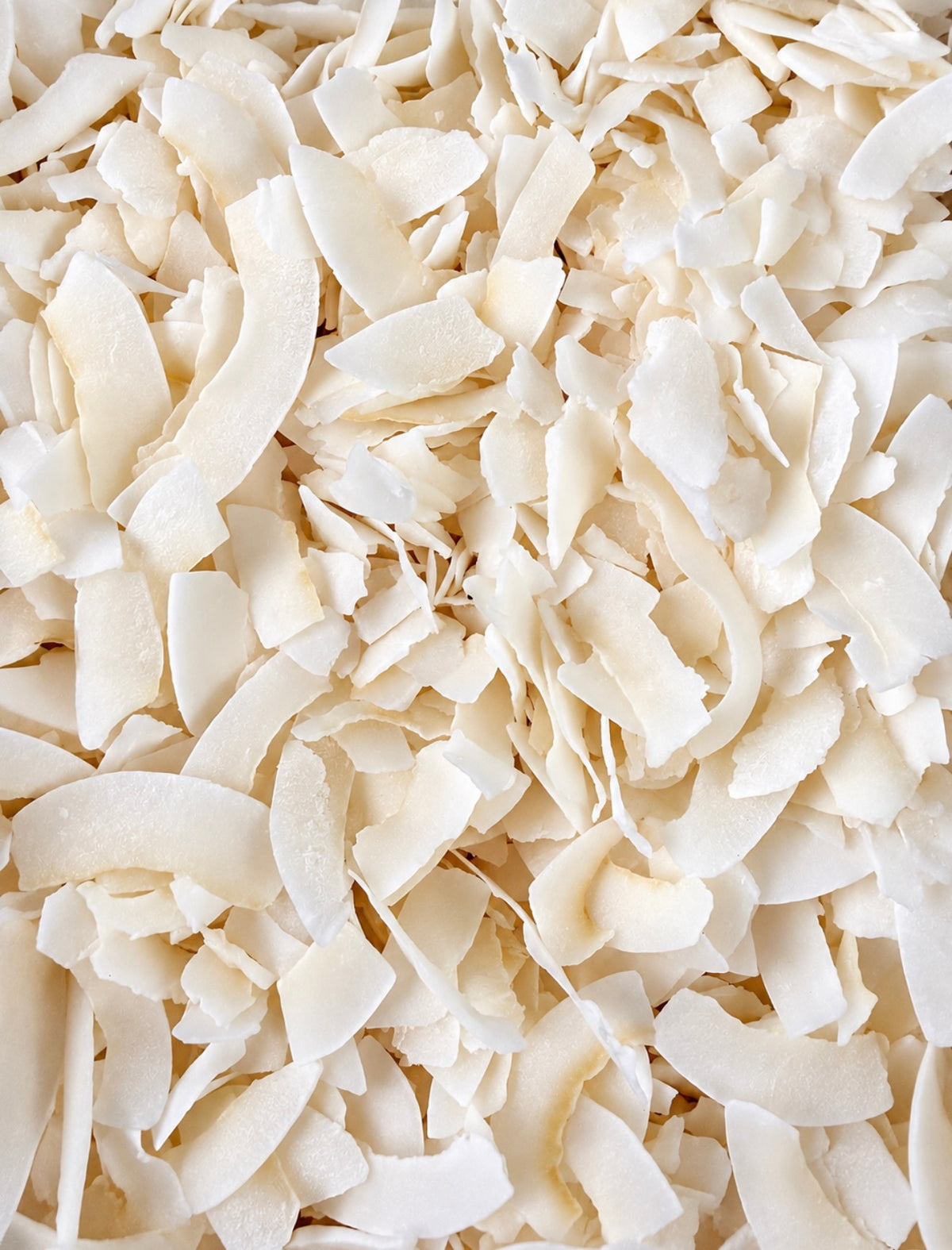 Organic Coconut Chip 40g