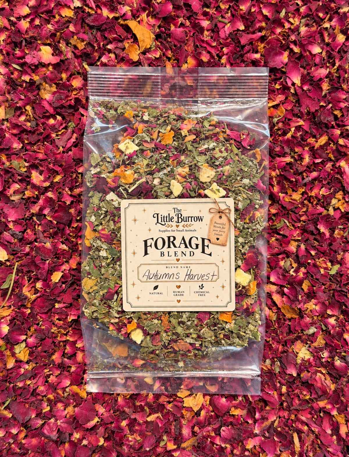 Autumn’s Harvest Premium Seasonal Forage 60g
