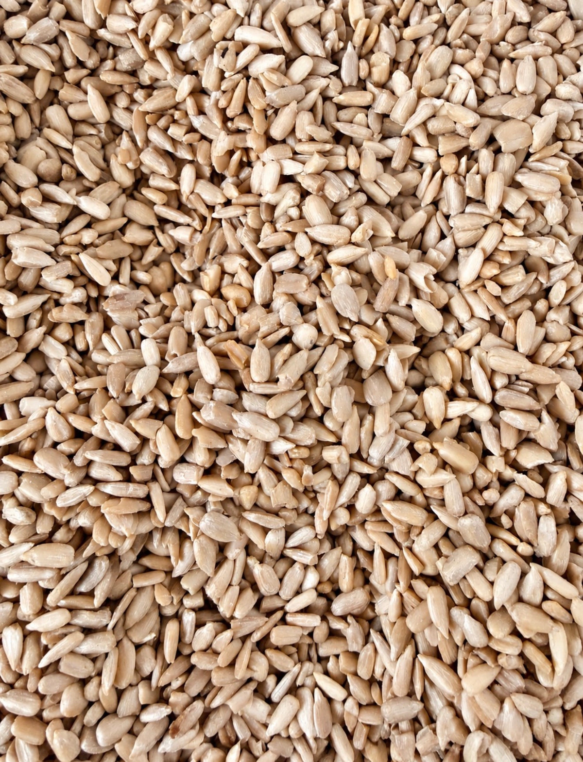 Natural Sunflower Seed 100g