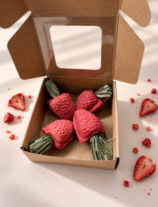 STRAWBERRY TREATS (4 PACK)