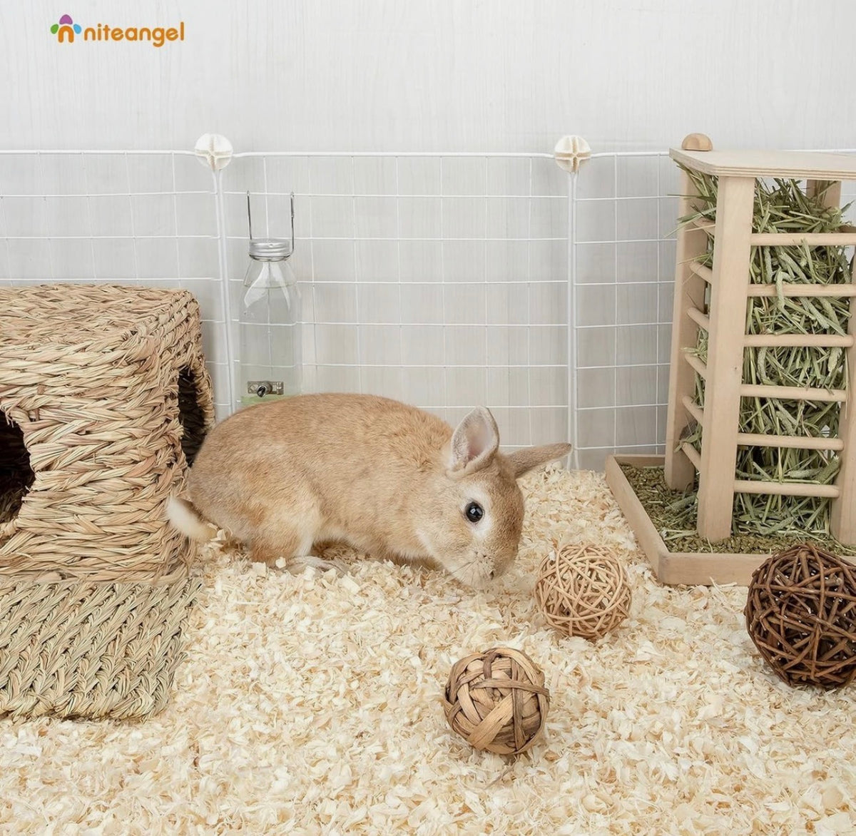 Niteangel Aspen Shavings 65L