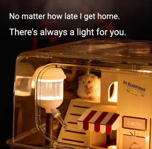 The Enchanted LED Street Lamp Water Bottle