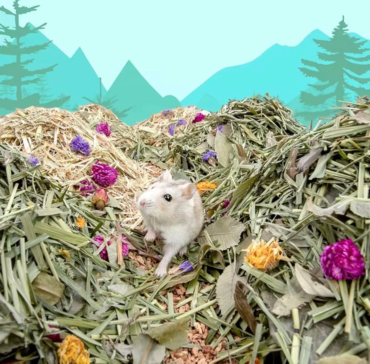 Niteangel Forest Floor Bedding Oat Grass & Flowers 400g