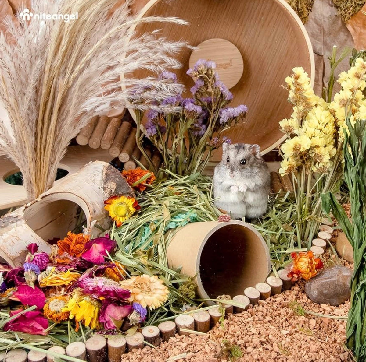 Niteangel Flower Path Botanical Mix 200g