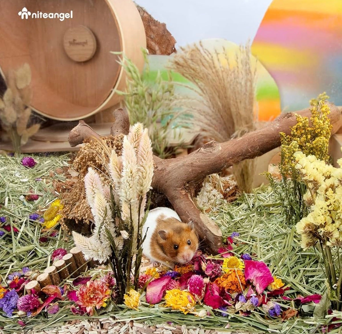 Niteangel Flower Path Botanical Mix 200g