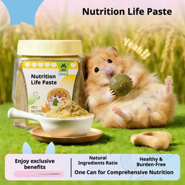 Hamster Porridge