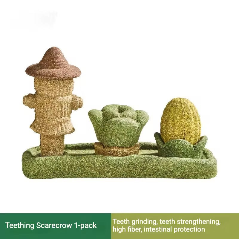 The Enchanted Scarecrow Garden