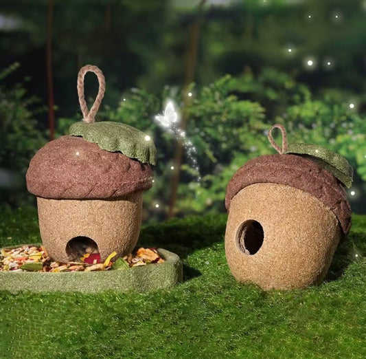 The Forager’s Acorn