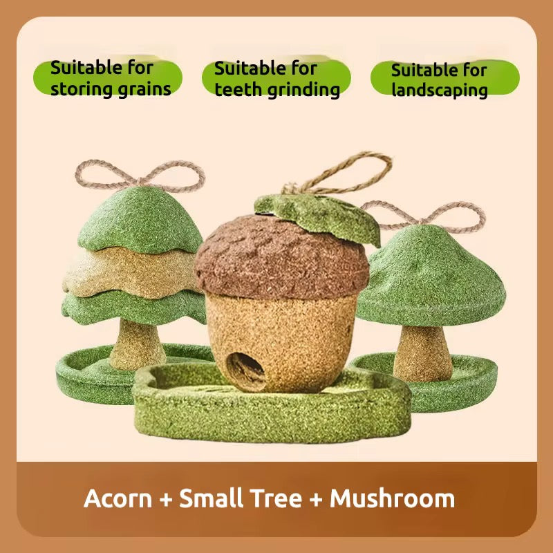 The Forager’s Acorn