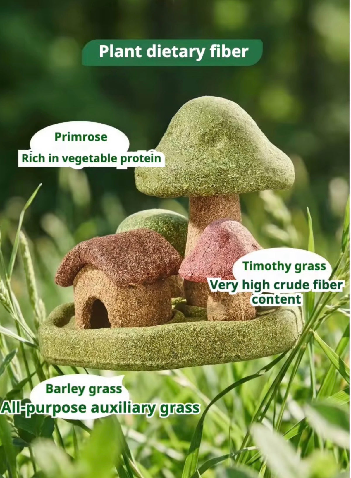 Enchanted Mushroom Village Chew