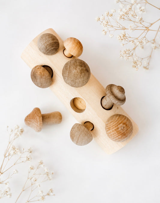 Mushroom Forage Puzzle Toy