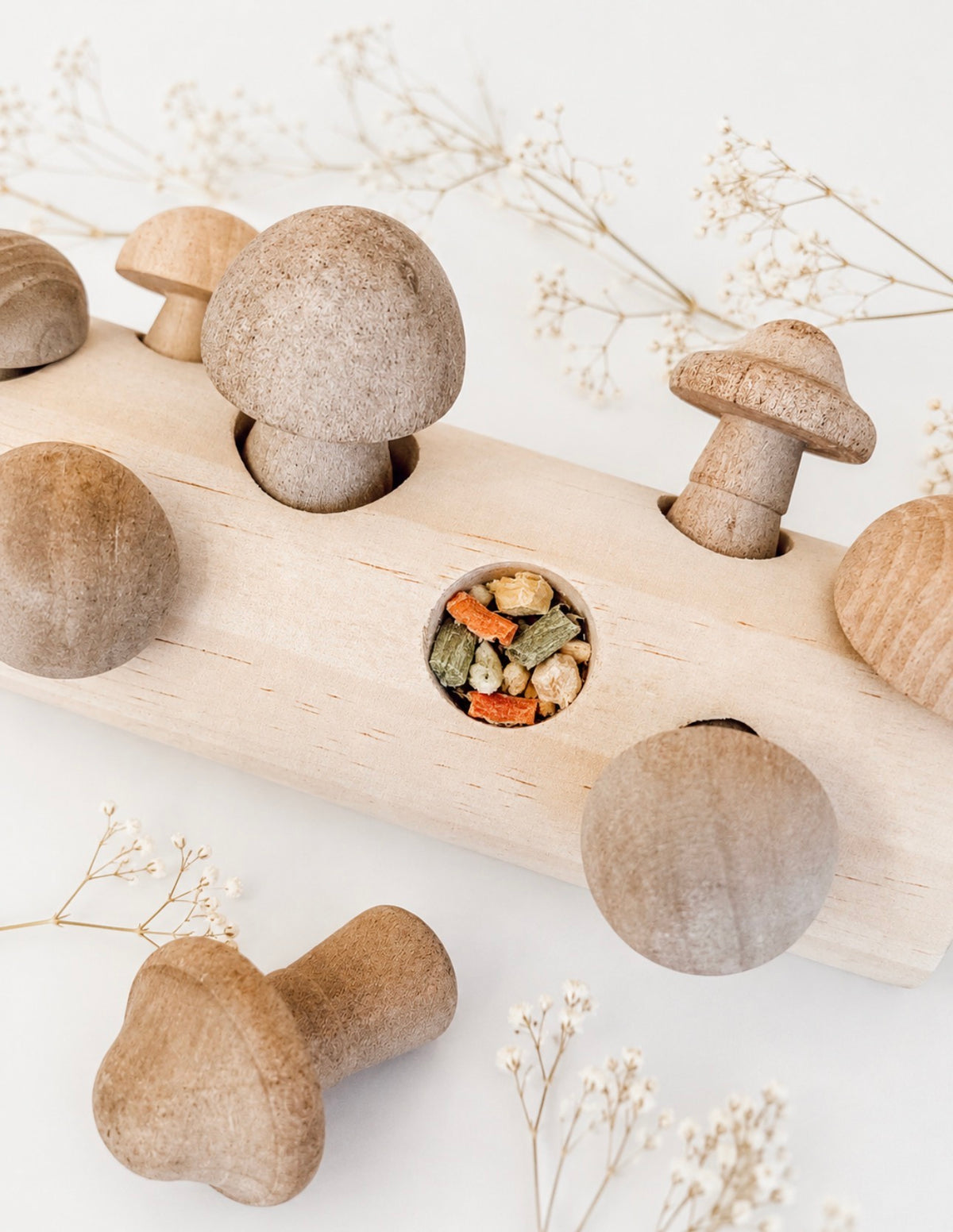 Mushroom Forage Puzzle Toy
